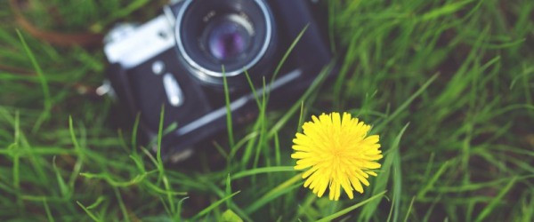 La photographie dans tous ses états