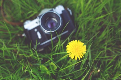 La photographie dans tous ses états